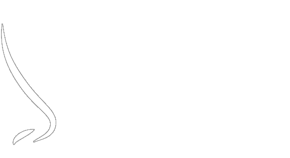 Dr. Alejandro Rojas